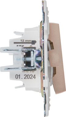 Выключатель IEK Skandy SK-V20-1-10-K98