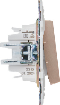 Выключатель IEK Skandy SK-V30-0-10-K98