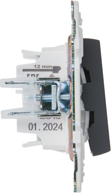 Выключатель IEK Skandy SK-V22-1-10-K53