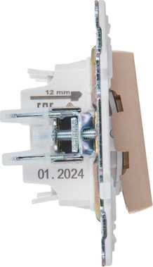 Выключатель IEK Skandy SK-V22-1-10-K98