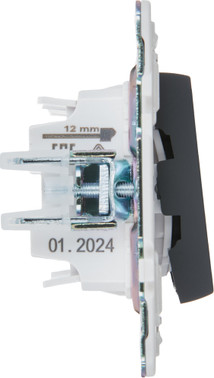 Выключатель IEK Skandy SK-V22-0-10-K53