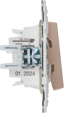 Выключатель IEK Skandy SK-V22-0-10-K98