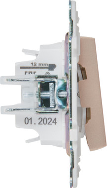 Выключатель IEK Skandy SK-V20-0-10-K98