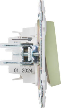 Выключатель IEK Skandy SK-V10-0-10-K06