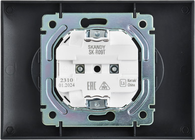 Розетка IEK Skandy SK-R23-10-K48-F