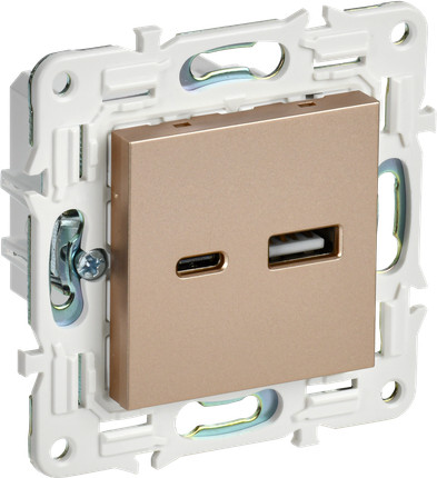 Розетка IEK Skandy SK-U22-D31-K98 - фото