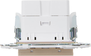 Розетка IEK Skandy SK-U22-D31-K98