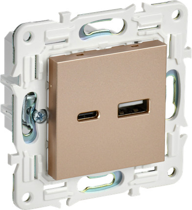 Розетка IEK Skandy SK-U22-018-K98 - фото