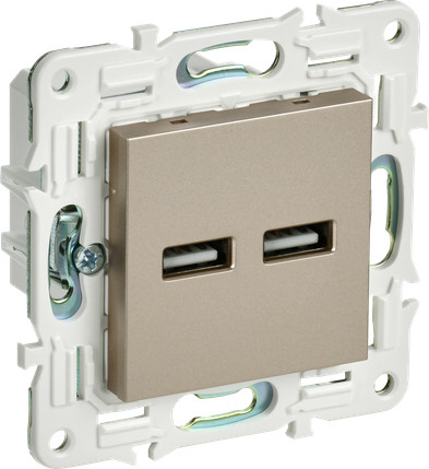 Розетка IEK Skandy SK-U21-D31-K37 - фото