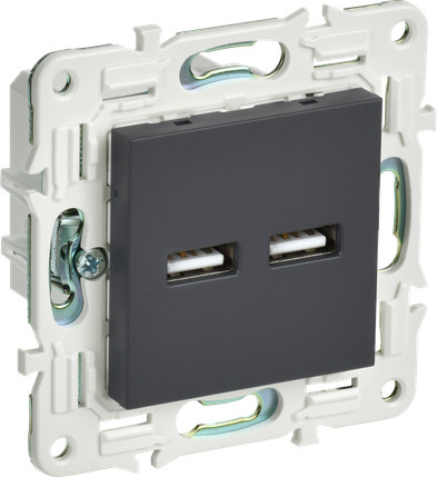 Розетка IEK Skandy SK-U21-D31-K53 - фото