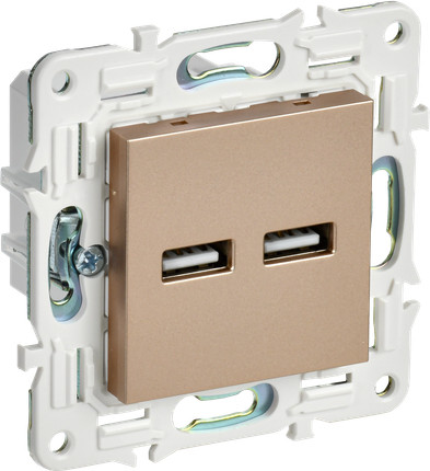 Розетка IEK Skandy SK-U21-D31-K98 - фото