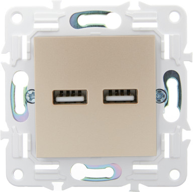 Розетка IEK Skandy SK-U21-D31-K98