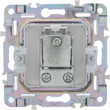 Розетка IEK Skandy SK-A10-P-K01