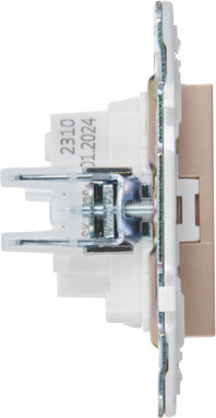 Розетка IEK Skandy SK-R10-10-K98