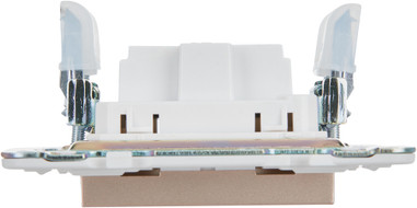 Розетка IEK Skandy SK-R10-10-K98