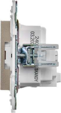 Розетка IEK Skandy SK-R14-16-K98