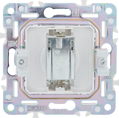 Розетка IEK Skandy SK-A10-O-K10