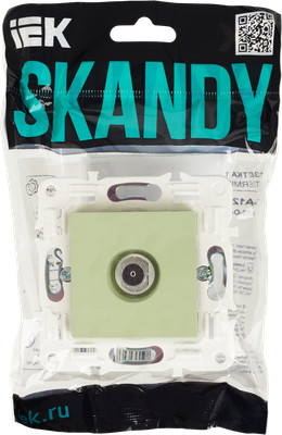 Розетка IEK Skandy SK-A10-O-K06