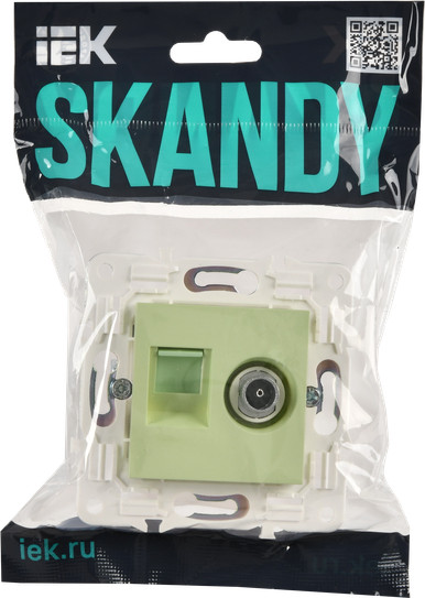 Розетка IEK Skandy SK-AK20-1-K06