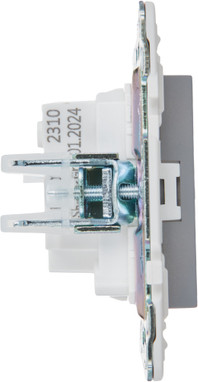 Розетка IEK Skandy SK-R10-10-K03