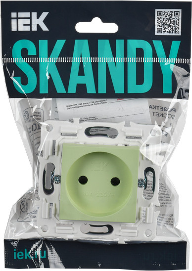 Розетка IEK Skandy SK-R10-10-K06