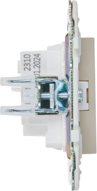 Розетка IEK Skandy SK-R10-10-K10