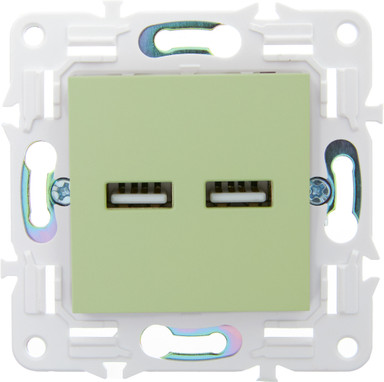 Розетка IEK Skandy SK-U21-D31-K06