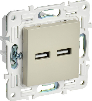 Розетка IEK Skandy SK-U21-D31-K10 - фото