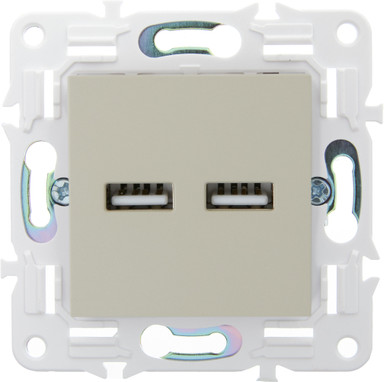 Розетка IEK Skandy SK-U21-D31-K10