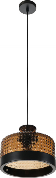 Потолочный светильник MyFar Edwin MR2482-1P - фото