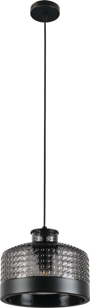 Потолочный светильник MyFar Edwin MR2484-1P - фото