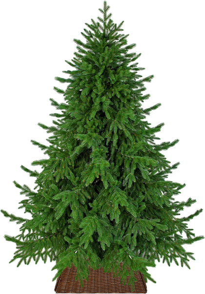 Ель искусственная Царь елка Раскидистая премиум / РДП-180 - фото