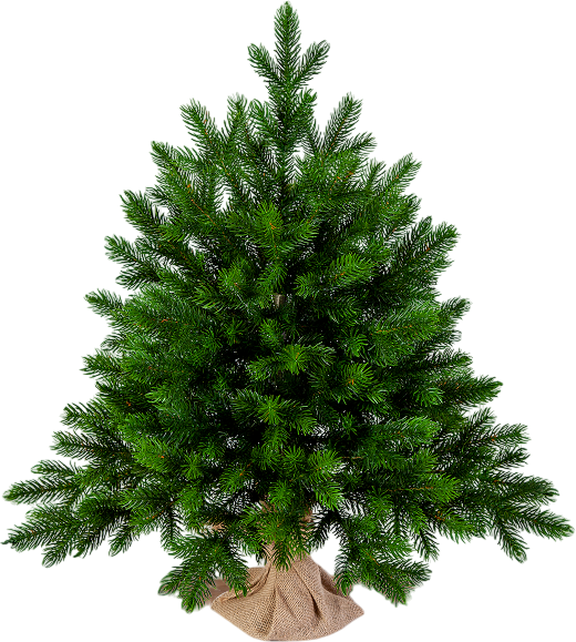 Ель искусственная Царь елка Астерия премиум 60см 3D АСТР/ПР-60 - фото