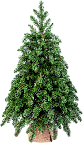 Ель искусственная Царь елка Афродита / АФР-90 - фото