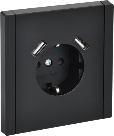 Розетка IEK Forte&Piano FP-R14-16-U21-D31-K02 - фото