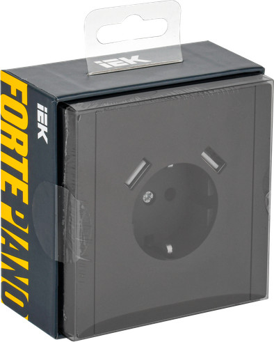 Розетка IEK Forte&Piano FP-R14-16-U21-D31-K02