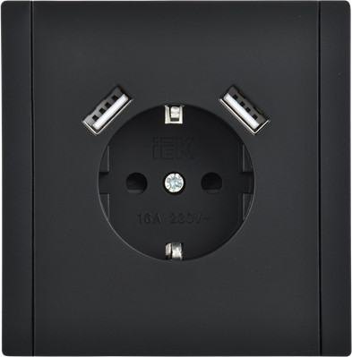 Розетка IEK Forte&Piano FP-R14-16-U21-D31-K02