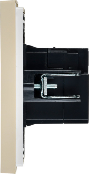 Розетка IEK Forte&Piano FP-U22-D31-K10