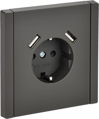 Розетка IEK Forte&Piano FP-R14-16-U21-D31-K03 - фото