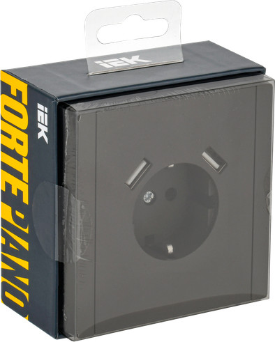 Розетка IEK Forte&Piano FP-R14-16-U21-D31-K03