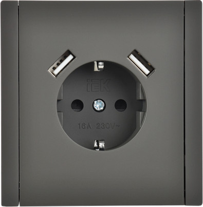 Розетка IEK Forte&Piano FP-R14-16-U21-D31-K03