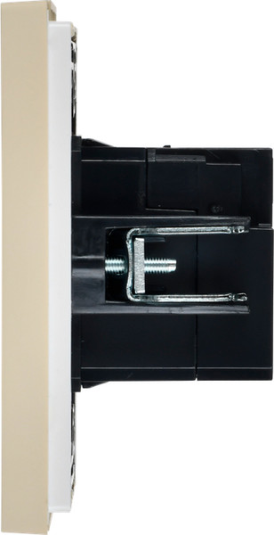 Розетка IEK Forte&Piano FP-U21-D31-K10