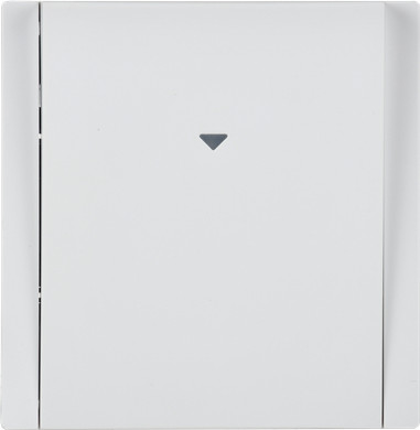 Выключатель IEK Forte&Piano FP-V11-0-10-1-K01