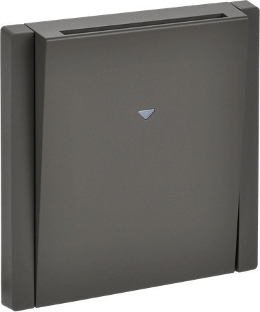 Выключатель IEK Forte&Piano FP-V11-0-10-1-K03 - фото