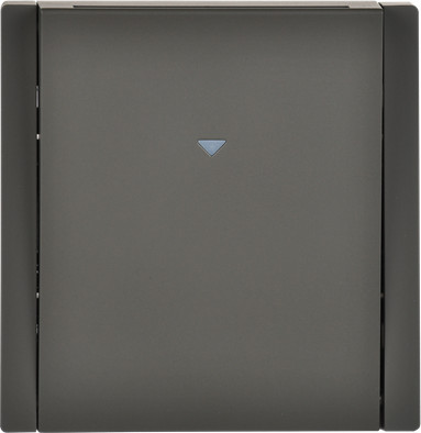 Выключатель IEK Forte&Piano FP-V11-0-10-1-K03