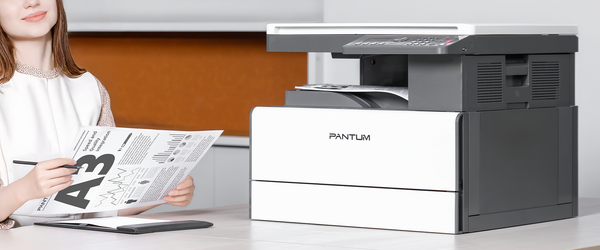 МФУ Pantum BM230N