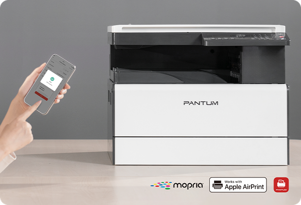 МФУ Pantum BM230N