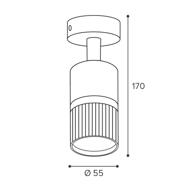 Точечный светильник Wolta WSL-GU10/19BG-1