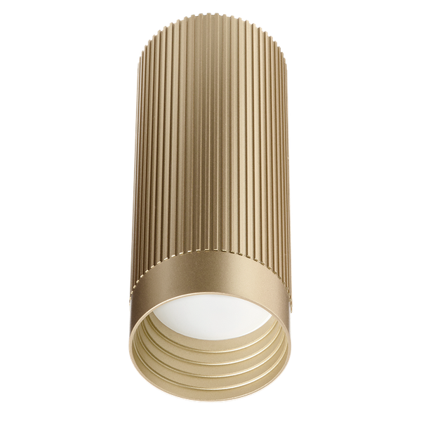 Точечный светильник Wolta WSL-GU10/19SG - фото