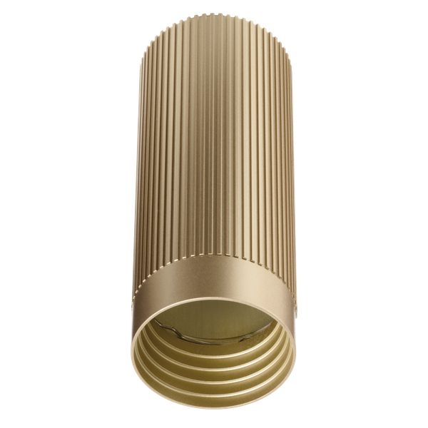 Точечный светильник Wolta WSL-GU10/19SG